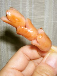 お弁当・ウインナーの飾り切りⅢ♪-レシピのメイン写真
