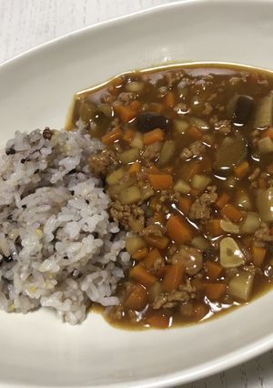 根菜と茄子、ひき肉のカレーと雑穀米-レシピのメイン写真