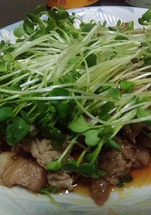 時短で美味しい！牛肉バラ焼きのポン酢がけ-レシピのメイン写真