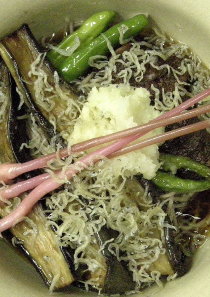夏です！揚げなすと野菜の冷たい蕎麦-レシピのメイン写真