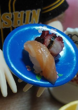 リカちゃんサイズ♡握り寿司 本日ver.-レシピのメイン写真