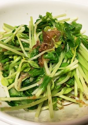 豆苗の梅おかか和え。-レシピのメイン写真