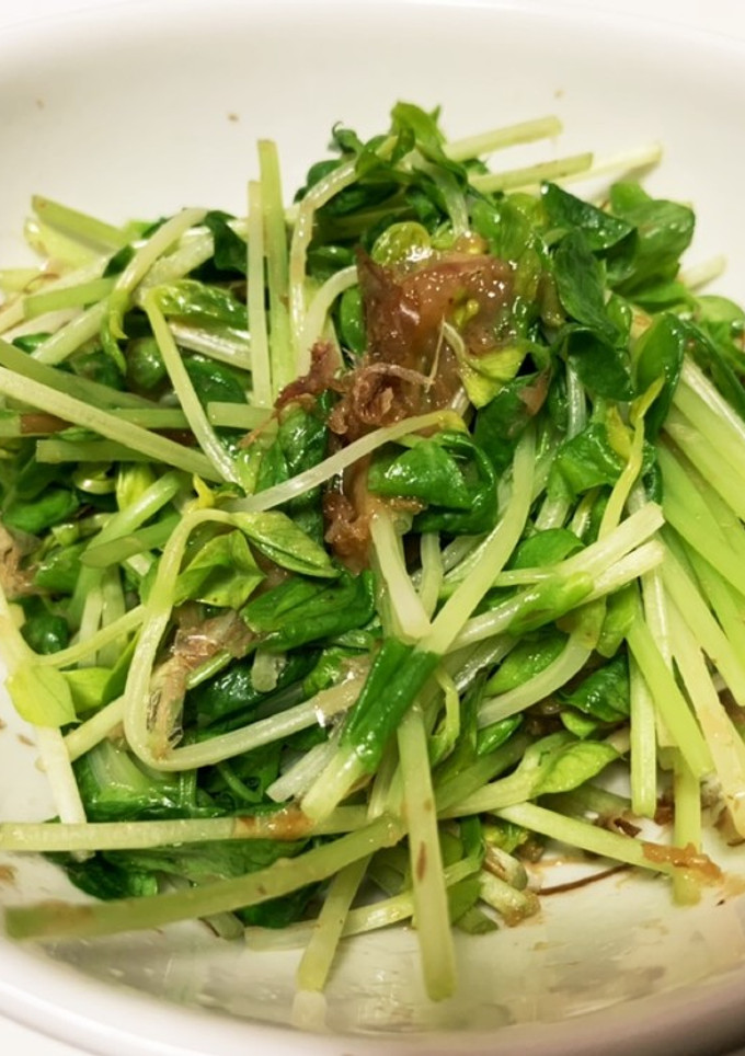 豆苗の梅おかか和え。-レシピのメイン写真