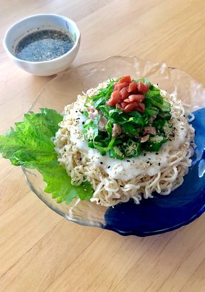 さっぱりネバトロ☆冷やしぶっかけ麺-レシピのメイン写真