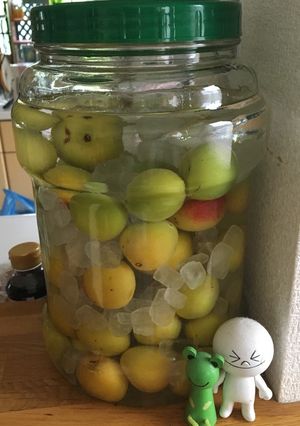 梅酒-レシピのメイン写真