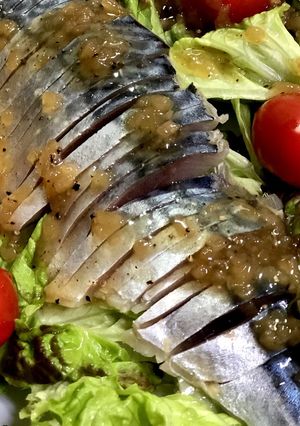 鯖の生ハムサニーレタスミニトマトのサラダ-レシピのメイン写真