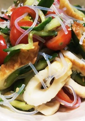 季節の野菜を使った#中華風_春雨サラダ-レシピのメイン写真