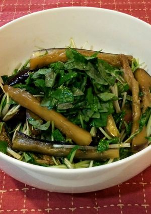 茄子と水菜のサラダ-レシピのメイン写真