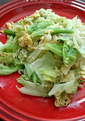 キャベツと玉子としらすの炒め物-レシピのメイン写真