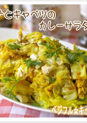 ツナとキャベツのカレーサラダ-レシピのメイン写真