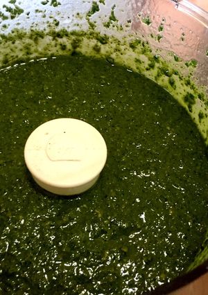 ククパ初？！春菊のペストー-レシピのメイン写真