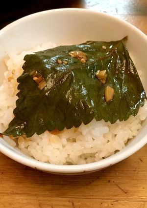 ご飯のお供に♡エゴマの醤油漬け-レシピのメイン写真