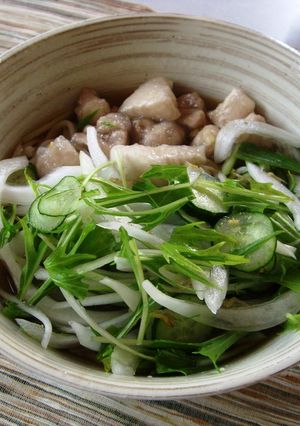 サラダの残りでサラダうどん-レシピのメイン写真