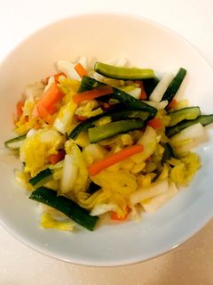 野菜たっぷりキャベツのさっぱり漬物☆-レシピのメイン写真