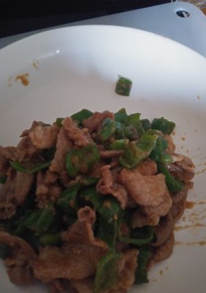 簡単豚肉ピーマン炒め-レシピのメイン写真