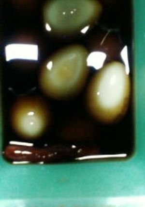 ピリカラうずらの味玉-レシピのメイン写真