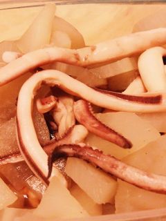 いかと大根の煮物-レシピのメイン写真