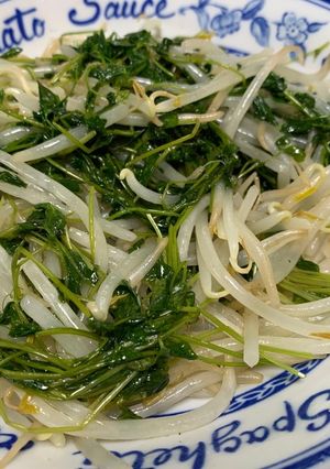 もやしと豆苗のナムル-レシピのメイン写真