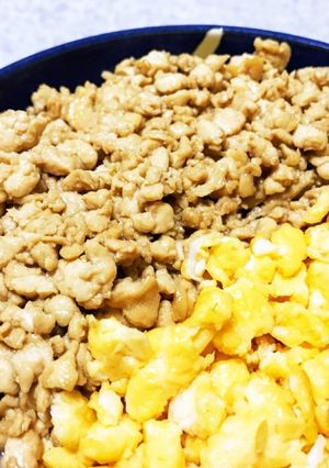 節約!20円で?豆腐のそぼろ丼♪-レシピのメイン写真