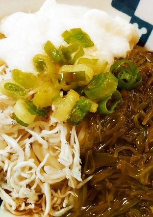 5分！めかぶ、しらす、山芋とろろうどん-レシピのメイン写真