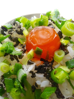 めんつゆで作る濃厚卵かけご飯-レシピのメイン写真
