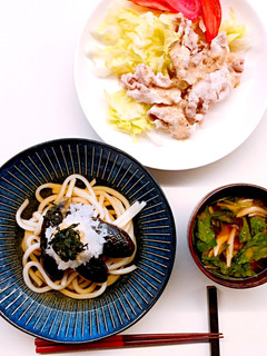 冷やしうどん〜なすの揚げ浸しを乗せて〜-レシピのメイン写真