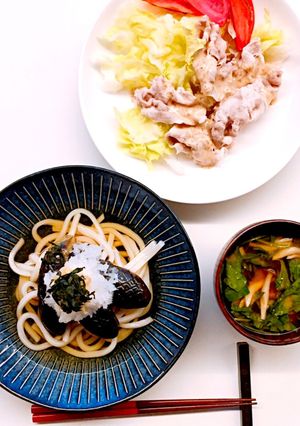 冷やしうどん〜なすの揚げ浸しを乗せて〜-レシピのメイン写真
