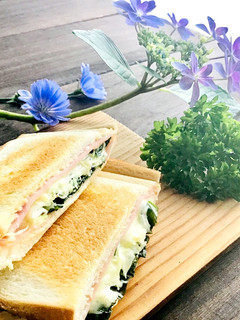 キャベツ千切りのホットサンド-レシピのメイン写真