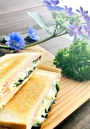 キャベツ千切りのホットサンド-レシピのメイン写真