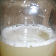 捨てずに自家製酵母:メロンの皮酵母