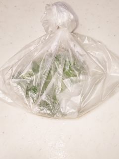大葉の保存 復活?!方法-レシピのメイン写真