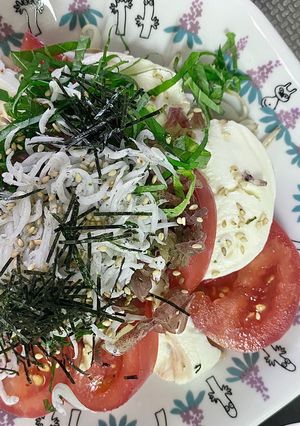 薬味のせモッツァレラ-レシピのメイン写真