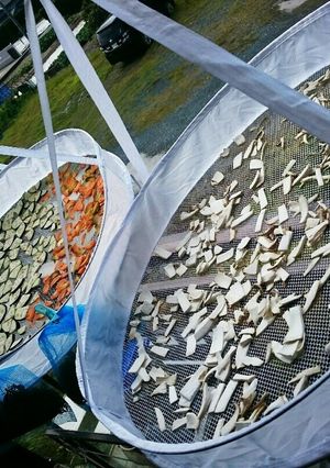 野菜の天日干し-レシピのメイン写真