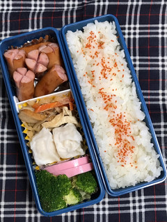 20190711マイ弁当-レシピのメイン写真