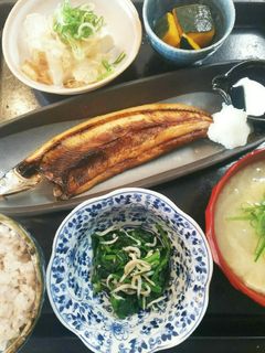 夕飯(7/9)ほうれん草 しらす お浸し-レシピのメイン写真