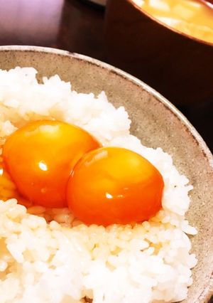 濃厚！絶品！黄身だけ卵かけご飯-レシピのメイン写真