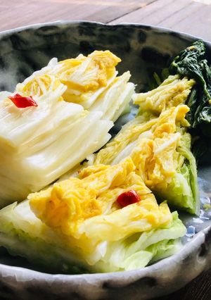 発酵食品の白菜漬け-レシピのメイン写真