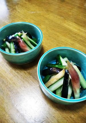 梨湖の簡単時短!浅漬けサラダ-レシピのメイン写真