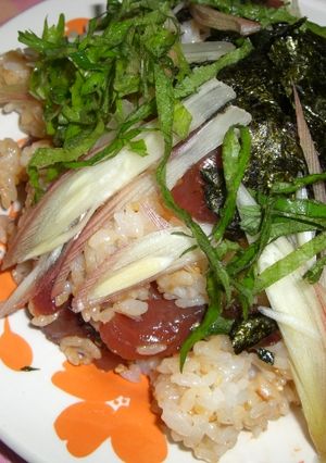 ✿韓国風❀手こね✿カツオ寿司-レシピのメイン写真