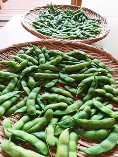 枝豆(ゆで豆)-レシピのメイン写真
