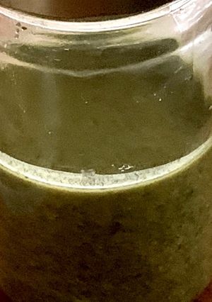 大葉ジェノベーゼ ソース-レシピのメイン写真