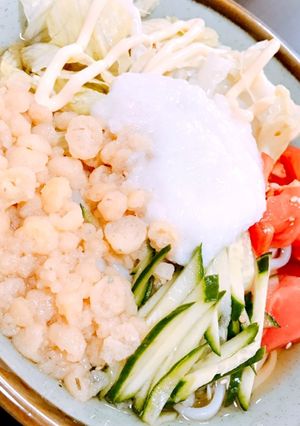 たぬきサラダうどん(お好みでとろろ-レシピのメイン写真