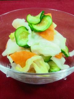 野菜もりもり浅漬け-レシピのメイン写真