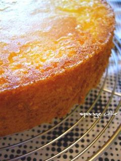 スポンジケーキ-レシピのメイン写真