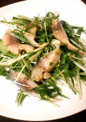 しめ鯖と水菜のポン酢和え-レシピのメイン写真