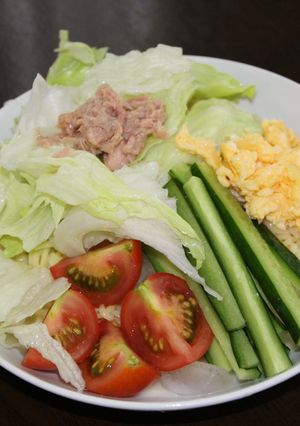 サラダ麺（塩とんこつ味）-レシピのメイン写真