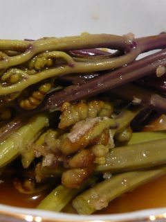ワラビの酢の物-レシピのメイン写真