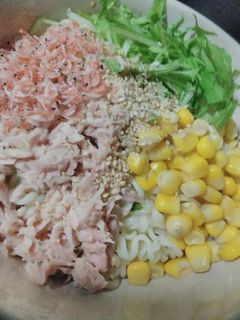 汁なしサラダ冷麺-レシピのメイン写真