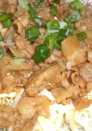 独身男用☆簡単に豚丼♪-レシピのメイン写真