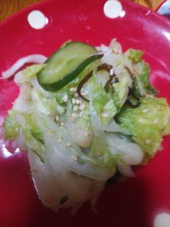 白菜の簡単漬物-レシピのメイン写真